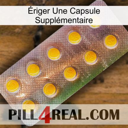 Ériger Une Capsule Supplémentaire new11
